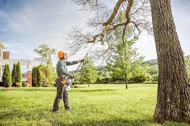 Lawn Pest Prevention in Redwood Valley, CA